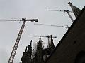 IMG_0109