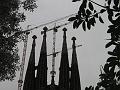 IMG_0128