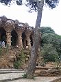 IMG_0154